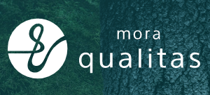 mora qualitas (モーラ クオリタス)のポイントサイト還元率比較！最もお得に利用するには？