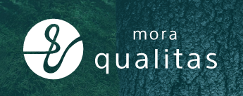 mora qualitas (モーラ クオリタス)のポイントサイト還元率比較！最もお得に利用するには？
